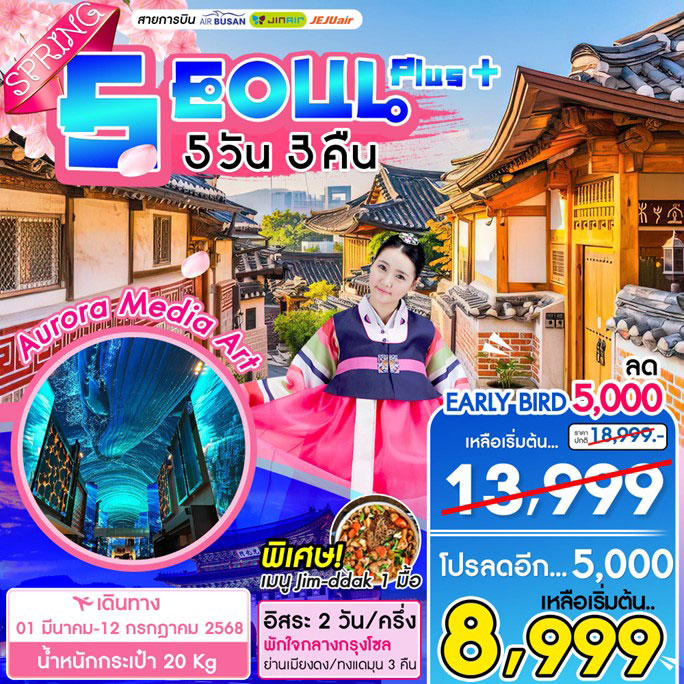 ทัวร์เกาหลี Seoul Plus Spring 5วัน 3คืน (BX)